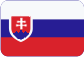 DQS Czech s.r.o. Slovensky